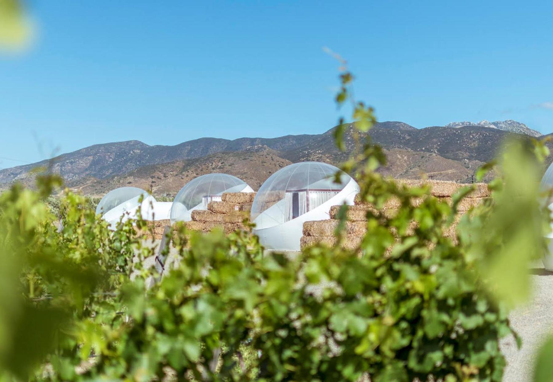 Campera Valle De Guadalupe Hotel Ensenada Exterior foto