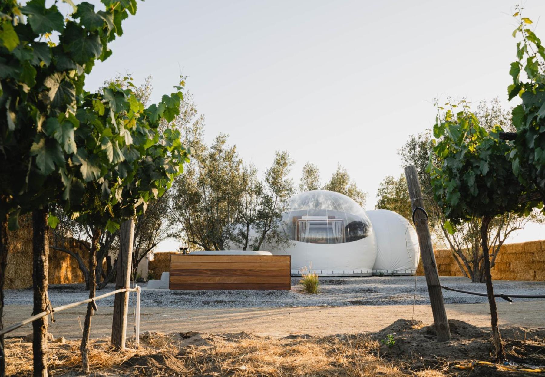 Campera Valle De Guadalupe Hotel Ensenada Exterior foto