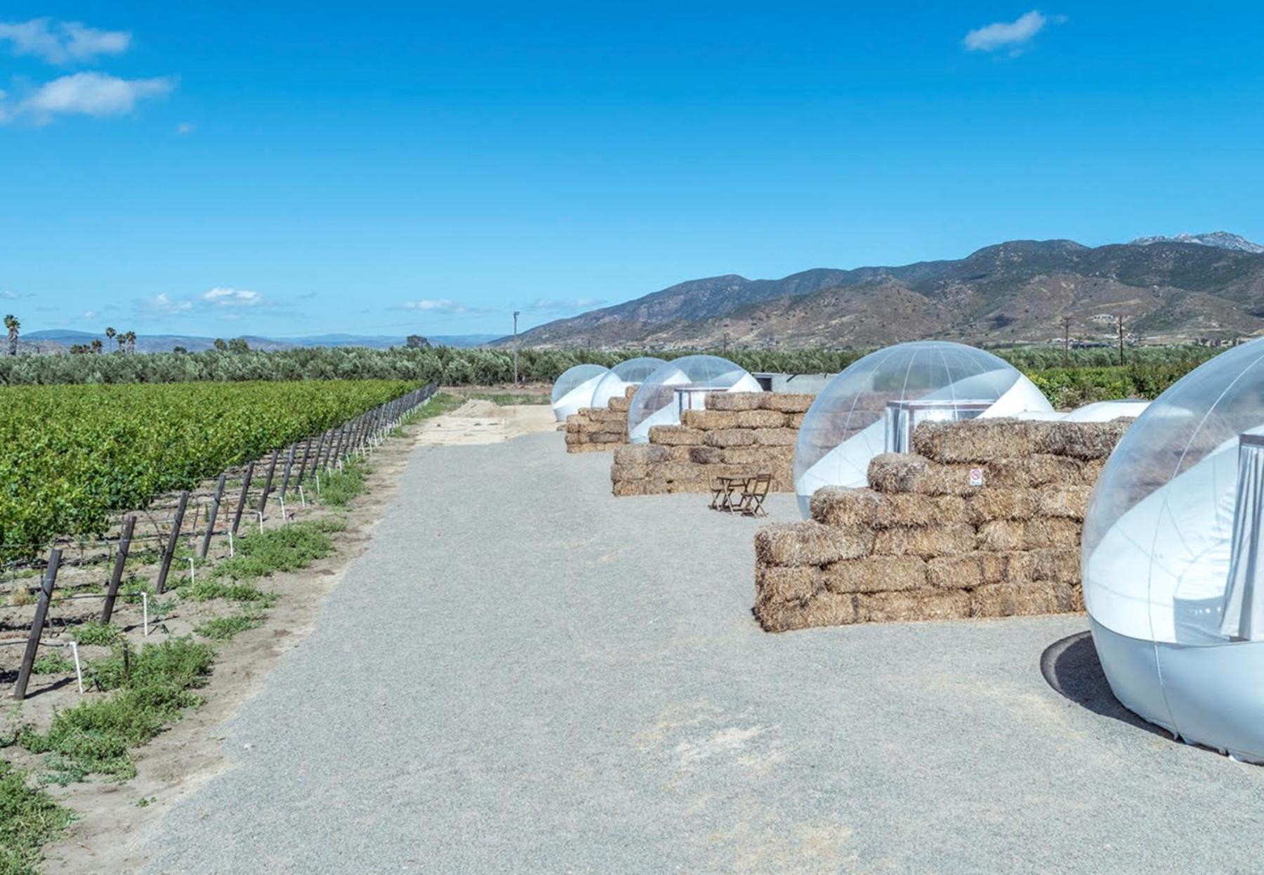 Campera Valle De Guadalupe Hotel Ensenada Exterior foto