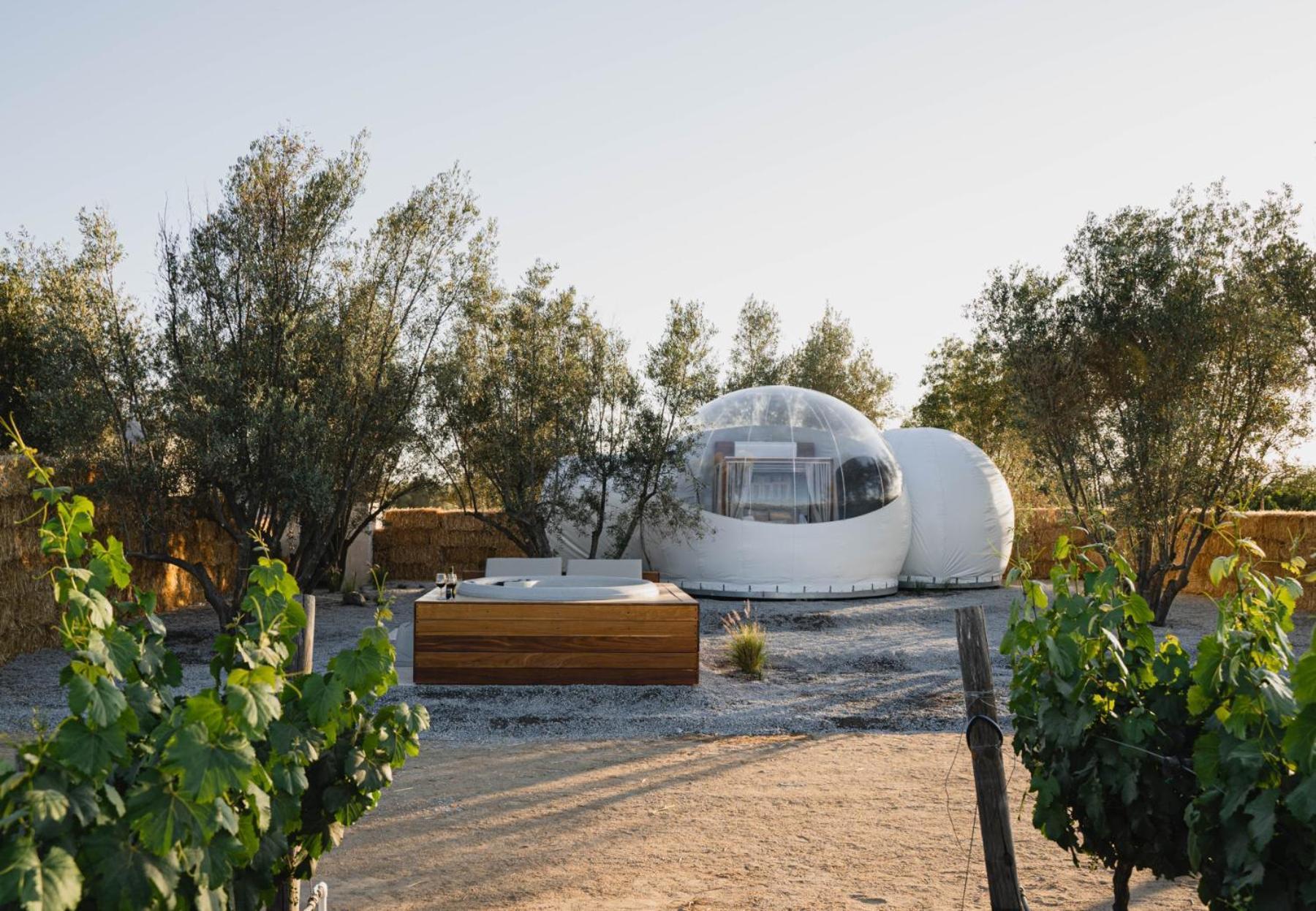 Campera Valle De Guadalupe Hotel Ensenada Exterior foto